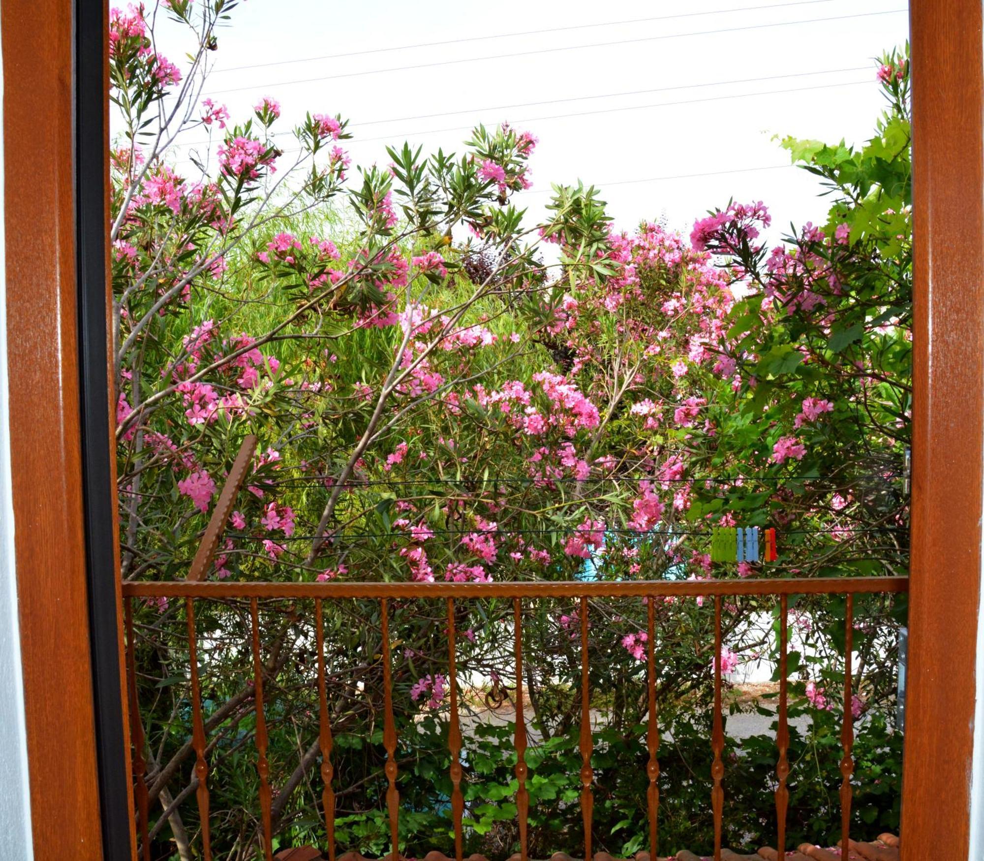 Villa Poseidon Dalyan Exteriör bild